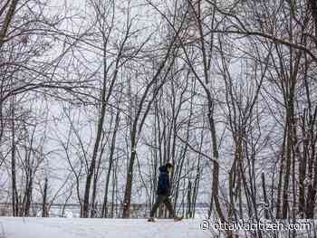 Ottawa weather forecast calls for Monday night snow