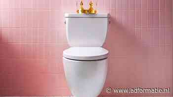 Geen wc, geen feest: Hema komt met 'Thuistoilet' tijdens Koningsdag