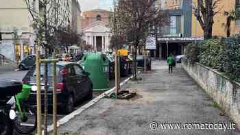 Nuovi alberi e marciapiedi "distrutti": ecco perché non è sciatteria ma è strategia