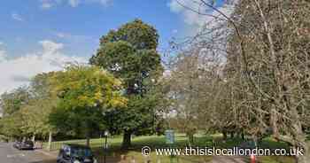 Person dies after incident at popular park in Eltham
