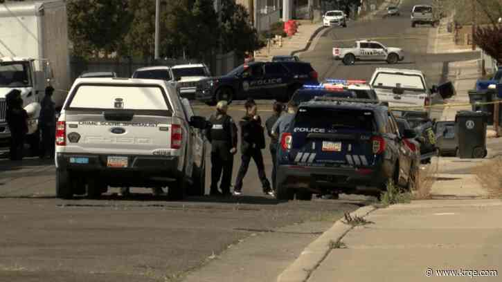 APD arrests mother for shooting death of 2-year-old son