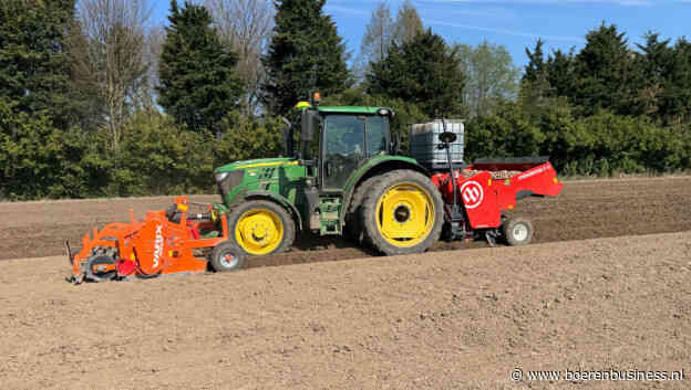 Pootseizoen van start: elke teler zijn eigen strategie