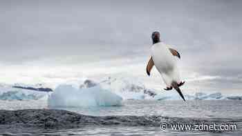 I'm a Linux power user, and the latest Ubuntu update put a smile on my face