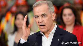 Security officials report a Beijing-linked online operation is targeting Carney