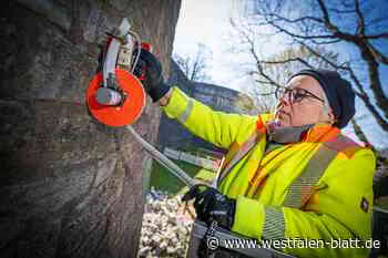 Sparrenburg: Spurensuche mit dem Georadar
