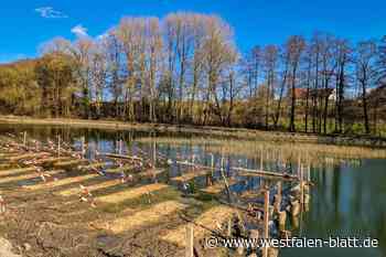 Moorsee ist bald wieder Anglerparadies