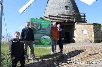 Vlotho: Mühlengelände wird aufgewertet
