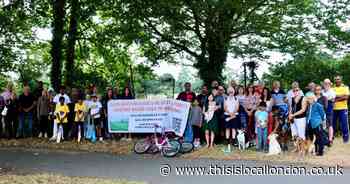 Community fury after council 'entertains' helping developer in bid for 100 homes