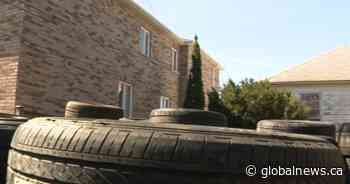 Landlord stores hundreds of tires in Toronto backyard despite city order to remove them