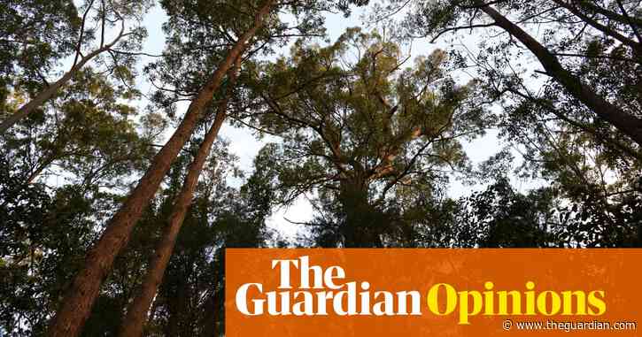 When sadness strikes I remember I’m not alone in loving the wild boundless beauty of the living world | Georgina Woods