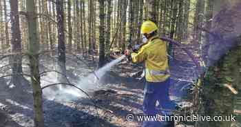 Northumberland issued with high wildfire risk alert as firefighters respond to series of incidents