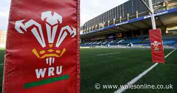 Financial services firm that collapsed owing creditors £37m was led by Cardiff Rugby co-owner Neal Griffith