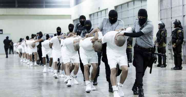 Trump on possibility of sending American inmates to El Salvador prison: 'I love that'