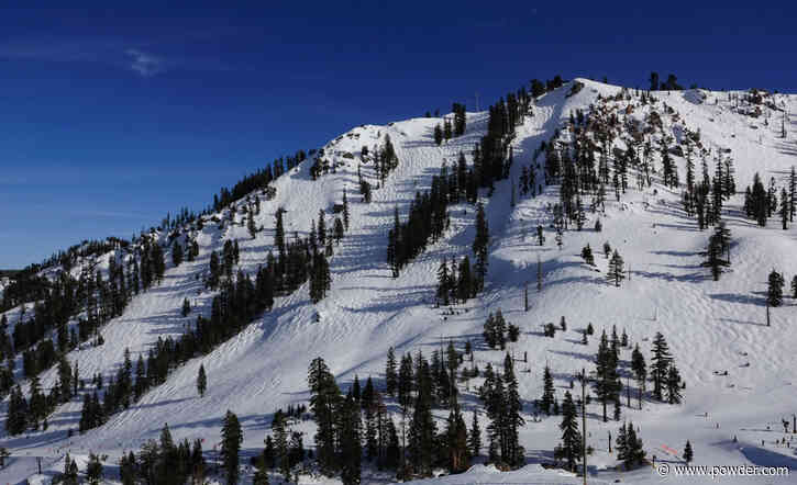 RIP Ellie Curtis: 25-Year-Old Skier Dies at Palisades Tahoe