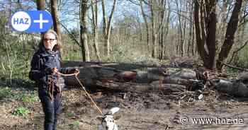 Stadt Hannover sperrt Waldweg für neuen Wald in der Südstadt