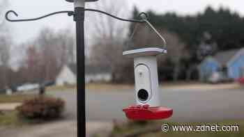 This smart home camera opened my eyes to unexpected backyard visitors
