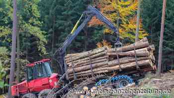 Trumps Zoll-Kurs zeigt: in dieser Branche ist die USA von   Deutschland abhängig – noch