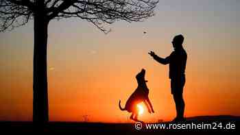 Wir suchen die schönsten Fotos eurer tierischen Lieblinge!