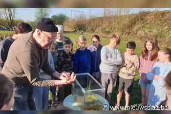 Leerlingen zetten zich in voor natuur en dus wordt Cajetanusschool beloond