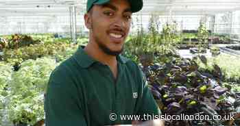 Royal Parks apprenticeship scheme now open