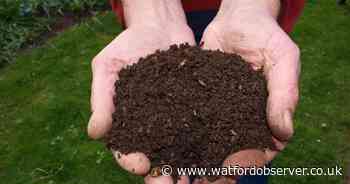 Free compost to be given away to residents - how to get yours