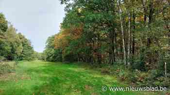 Historisch valleilandschap op domein Hobos wordt hersteld