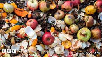 Council announces food waste trial for flats