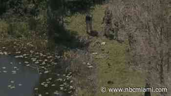 Car with skeletal remains inside reportedly found in pond in Plantation