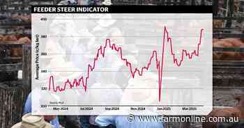 Cattle market tipped to head for stars: Should you cash in or put weight on?