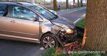 Automobilist botst tegen boom in Lunteren