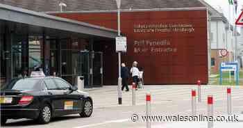 Update after health board stopped visits due to norovirus outbreak