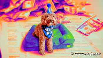 Pet Expenses Could Save You Money on Your Tax Bill. What Can You Write Off?