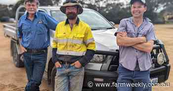 Vetch a 'real game changer' for farming in sandplain country at Esperance