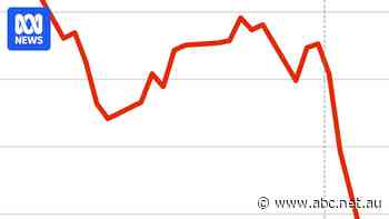 Market tracker: See how ASX and US stocks are faring under Trump
