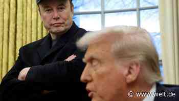 Musk übt mit Video auf X Kritik an Trumps Zollpolitik und beleidigt dessen Handelsberater