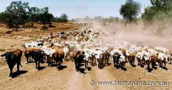 Market carnage as Aussie agribusiness feels the heat of Trump's trade war