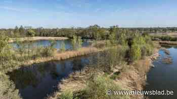 Wijers zakken met 1 centimeter per dag: “Voor de natuur mag het keihard regenen”