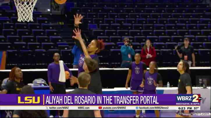 LSU women's basketball making moves in the transfer portal