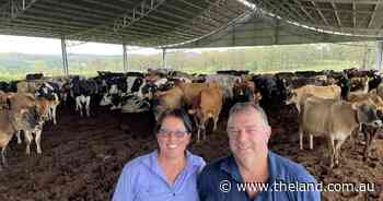Living the good life: Loafing shed leads to better cow health