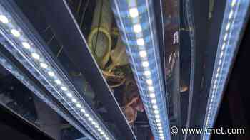 We Asked Experts How to Choose the Right Grow Lights