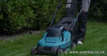 Man uncovers item when mowing lawn – and can't believe what happens next