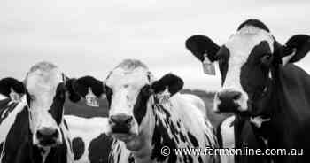 Good Bulls Guide takes the guesswork out of breeding for dairy farmers