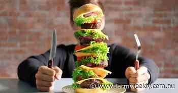 Hamburgled: Americans likely to swallow cost of Trump's beef tariffs