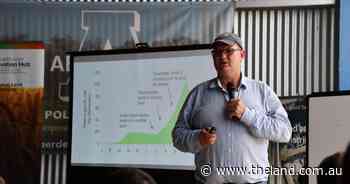 Top performers: what standout sheep producers do to build resilent breeding operations