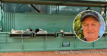 How this Aussie invention is removing the back-breaking work of lamb marking