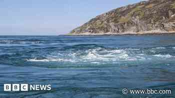 Boat towed to shore after breakdown near whirlpool