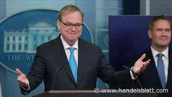 Zollpause: Falsche Schlagzeile sorgt für eine Achterbahnfahrt an der Börse