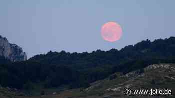 Pink Moon im April: 3 Sternzeichen finden endlich inneren Frieden