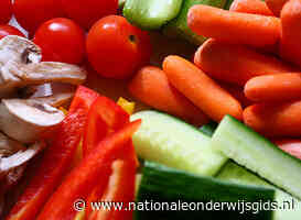 Schoolprogramma's richten gezamenlijk TommyTomato Educatie op