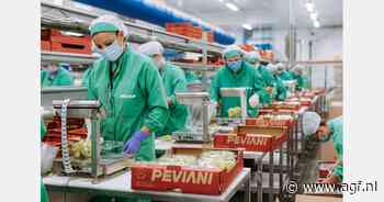 "Lichte prijsdruk door grote volumes Indiase druiven"